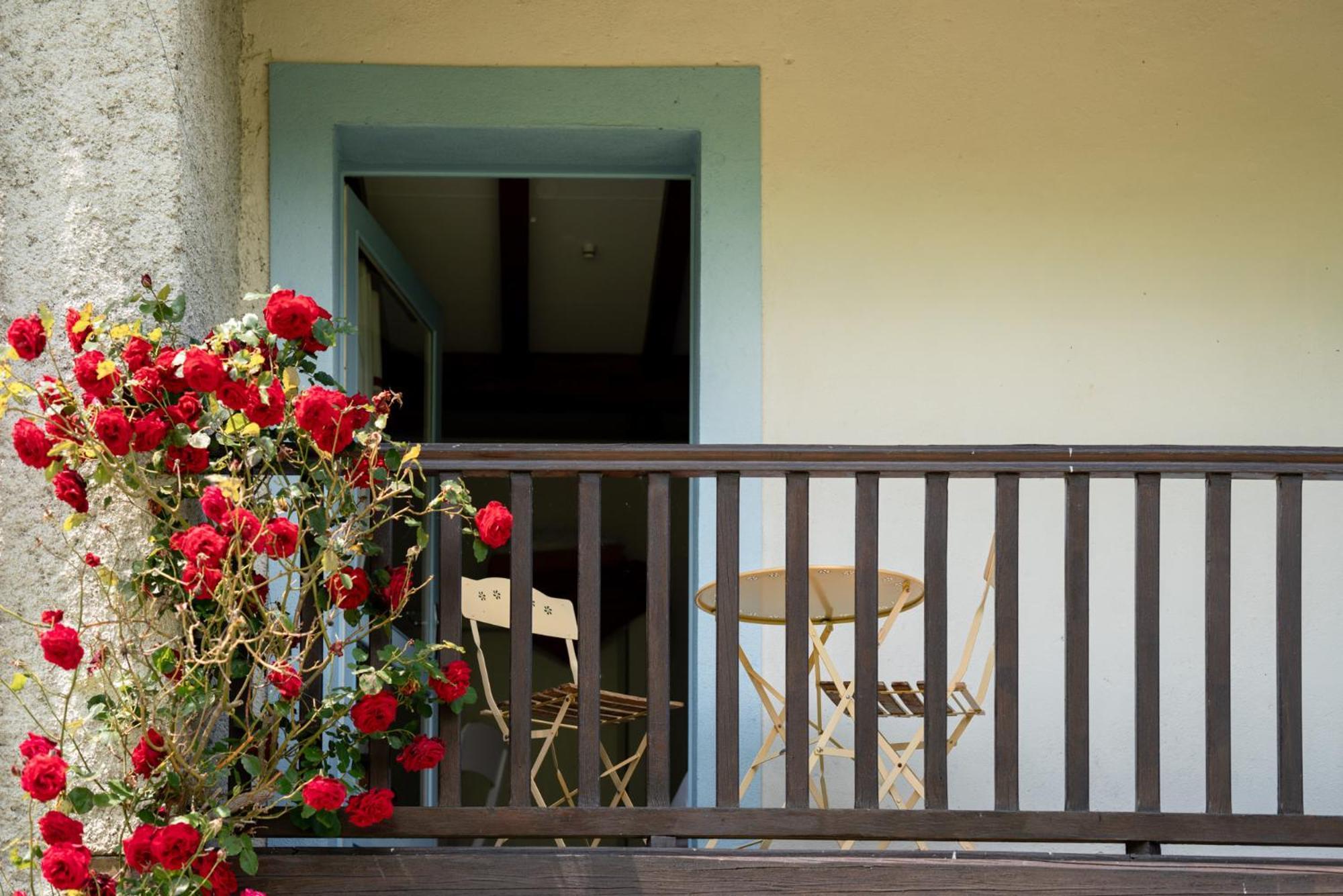 Domaine De Ramonjuan Ξενοδοχείο Bagnères-de-Bigorre Εξωτερικό φωτογραφία